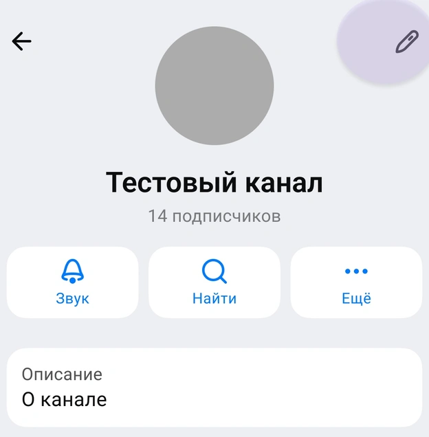 Описание канала MAX и значок карандаша для редактирования