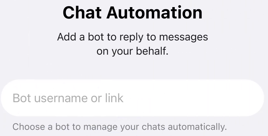 Поле для имени или ссылки на бота в разделе Chat Automation