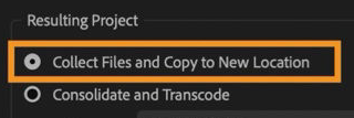 В Project Manager выбран пункт Collect Files and Copy to New Location